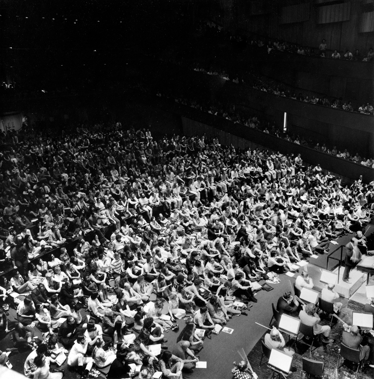THE RUG CONCERTS